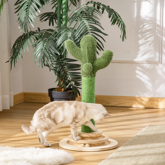 Cactus-Shaped Cat Scratching Post