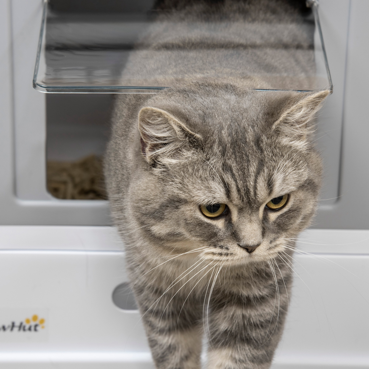 Portable Hooded Cat Litter Box - Grey