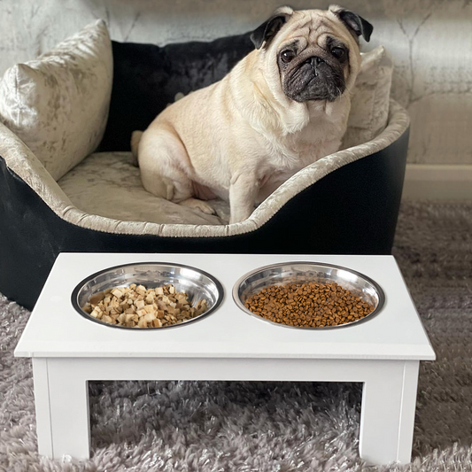 Elevated Dog Feeder, Small - White
