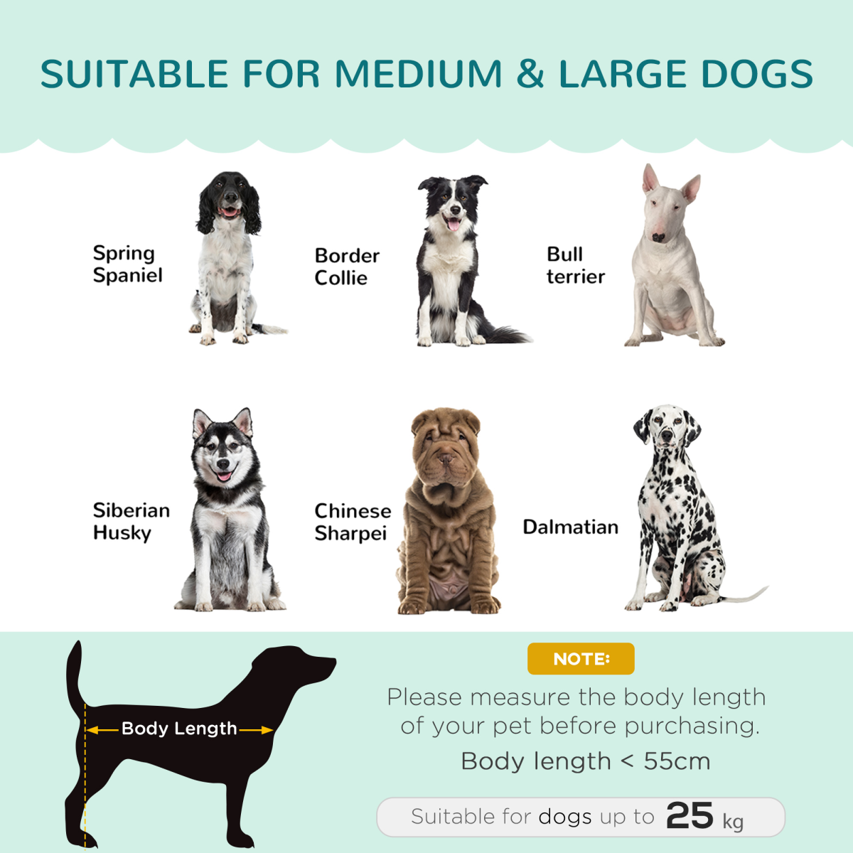 Dog Sofa Bed - Green