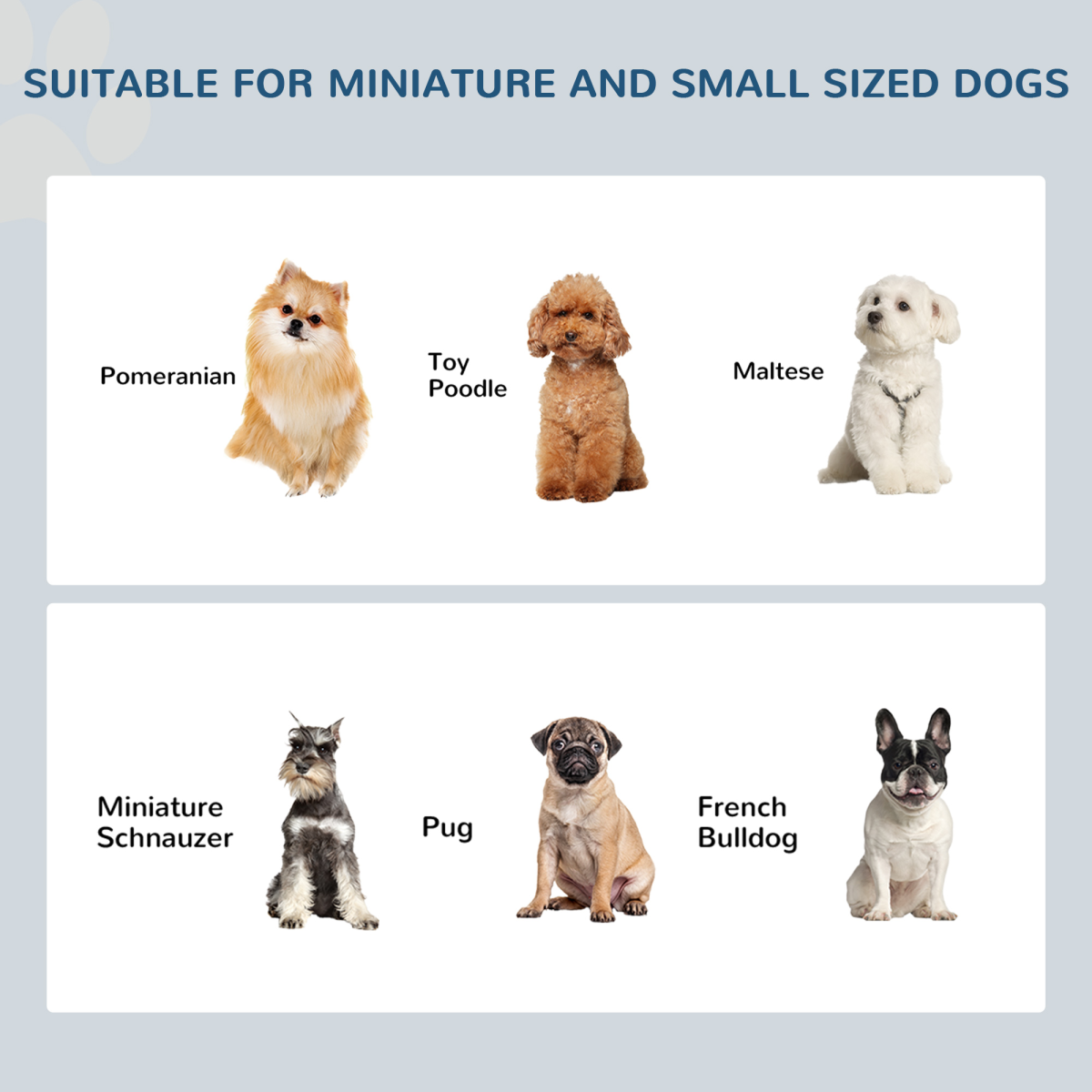 Elevated Dog Feeder, Small - White