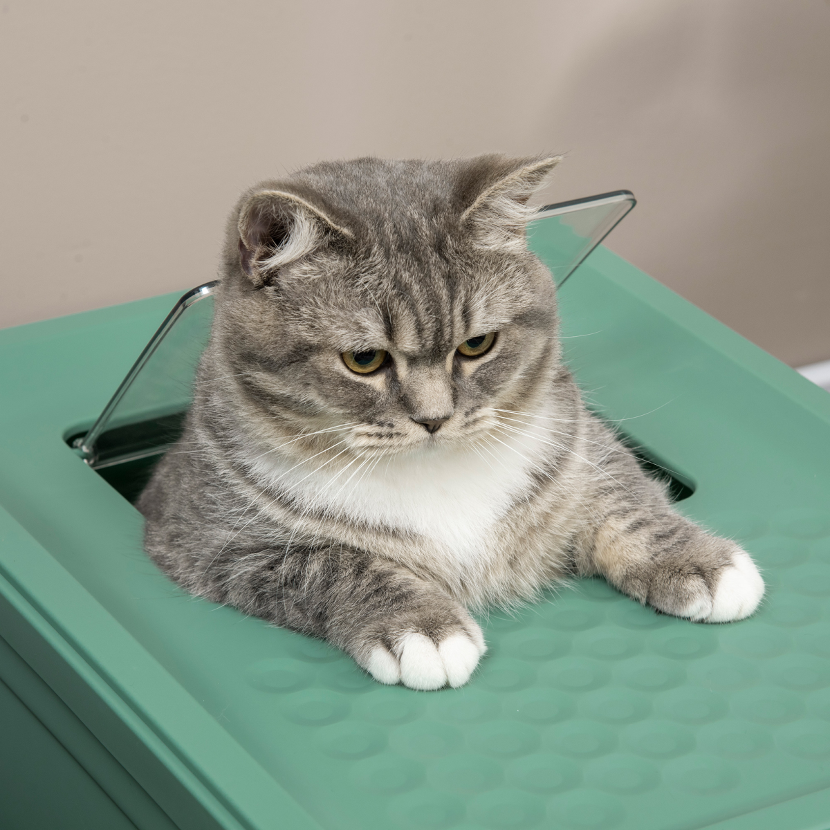 Portable Hooded Cat Litter Box - Green