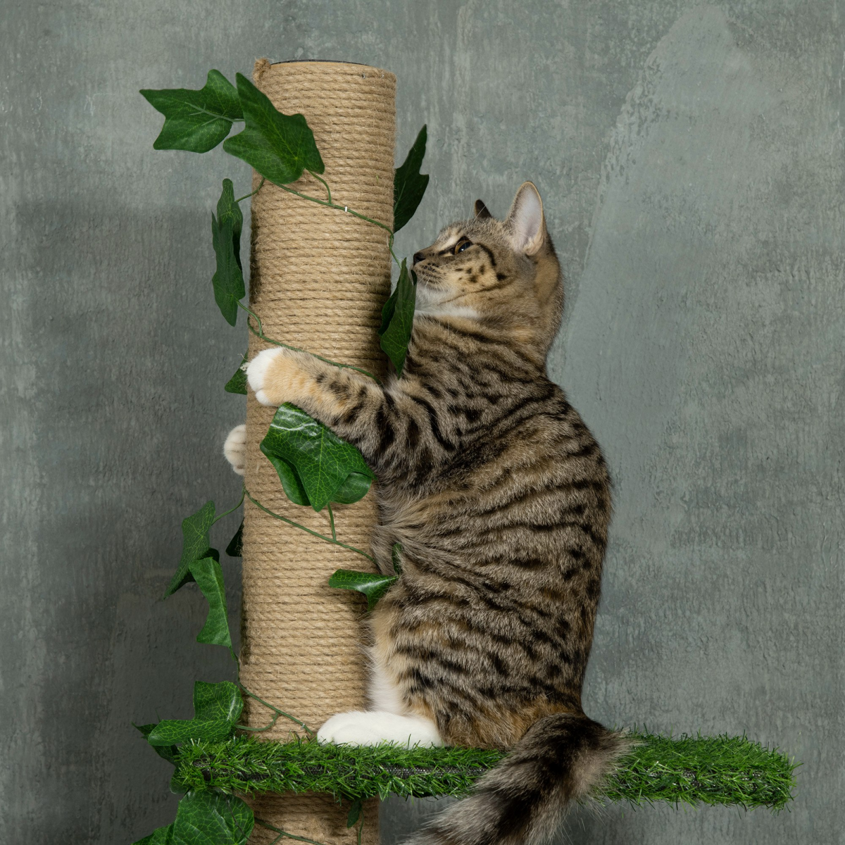 Floor-to-Ceiling Cat Tree - Green