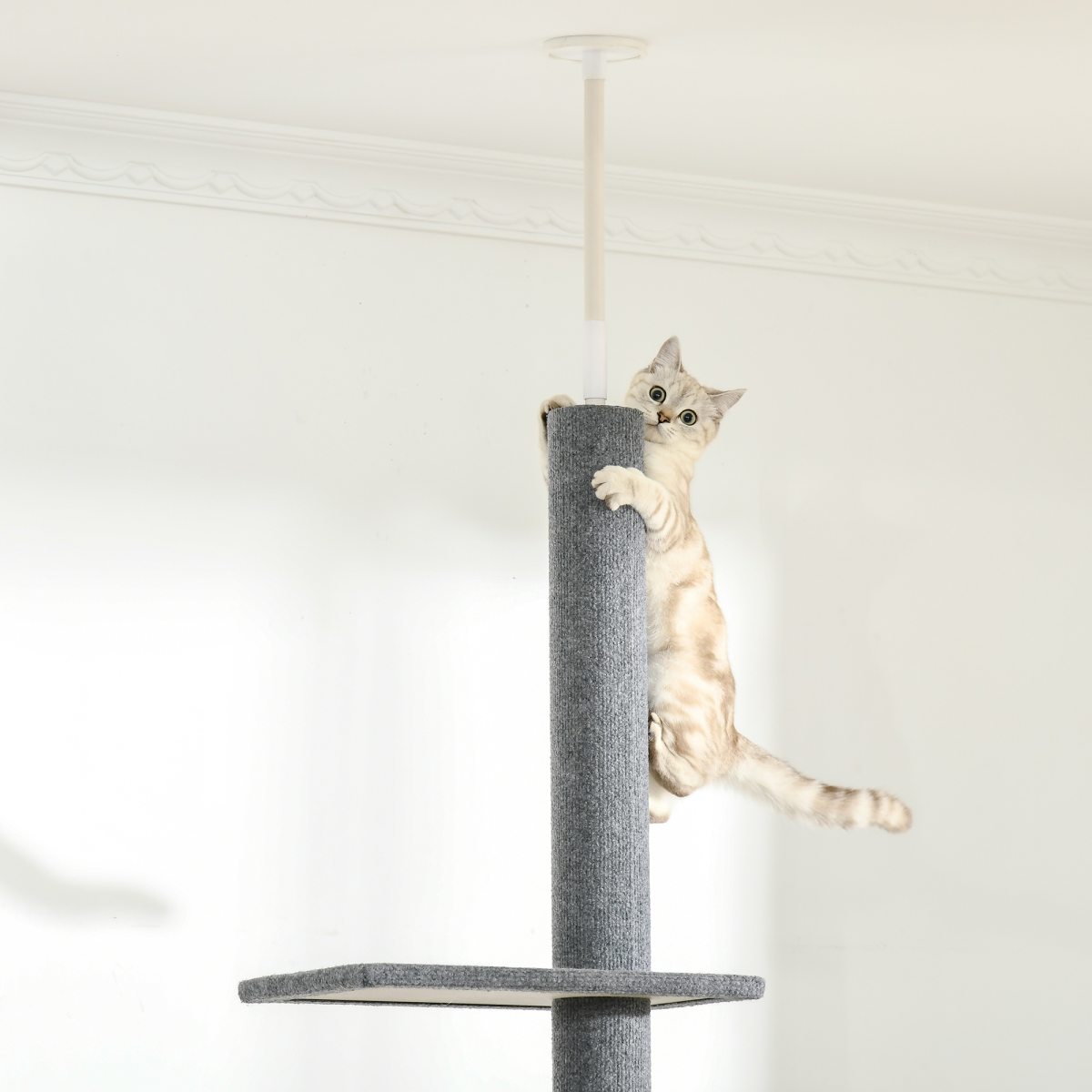 Floor-to-Ceiling Adjustable Cat Tree - Grey