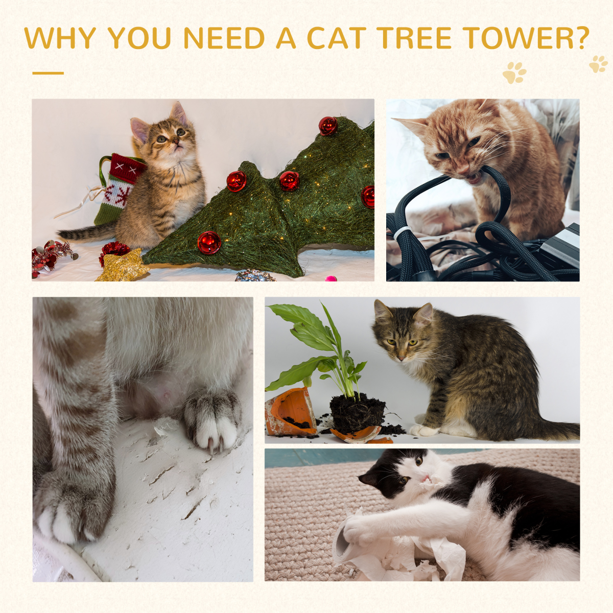 Multi-Level Cat Activity Centre