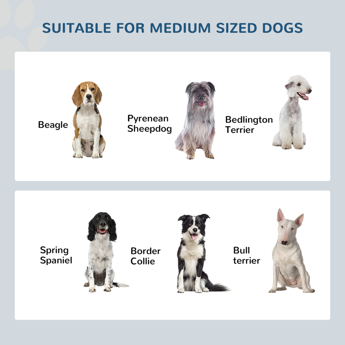 Elevated Dog Feeder, Large - Grey
