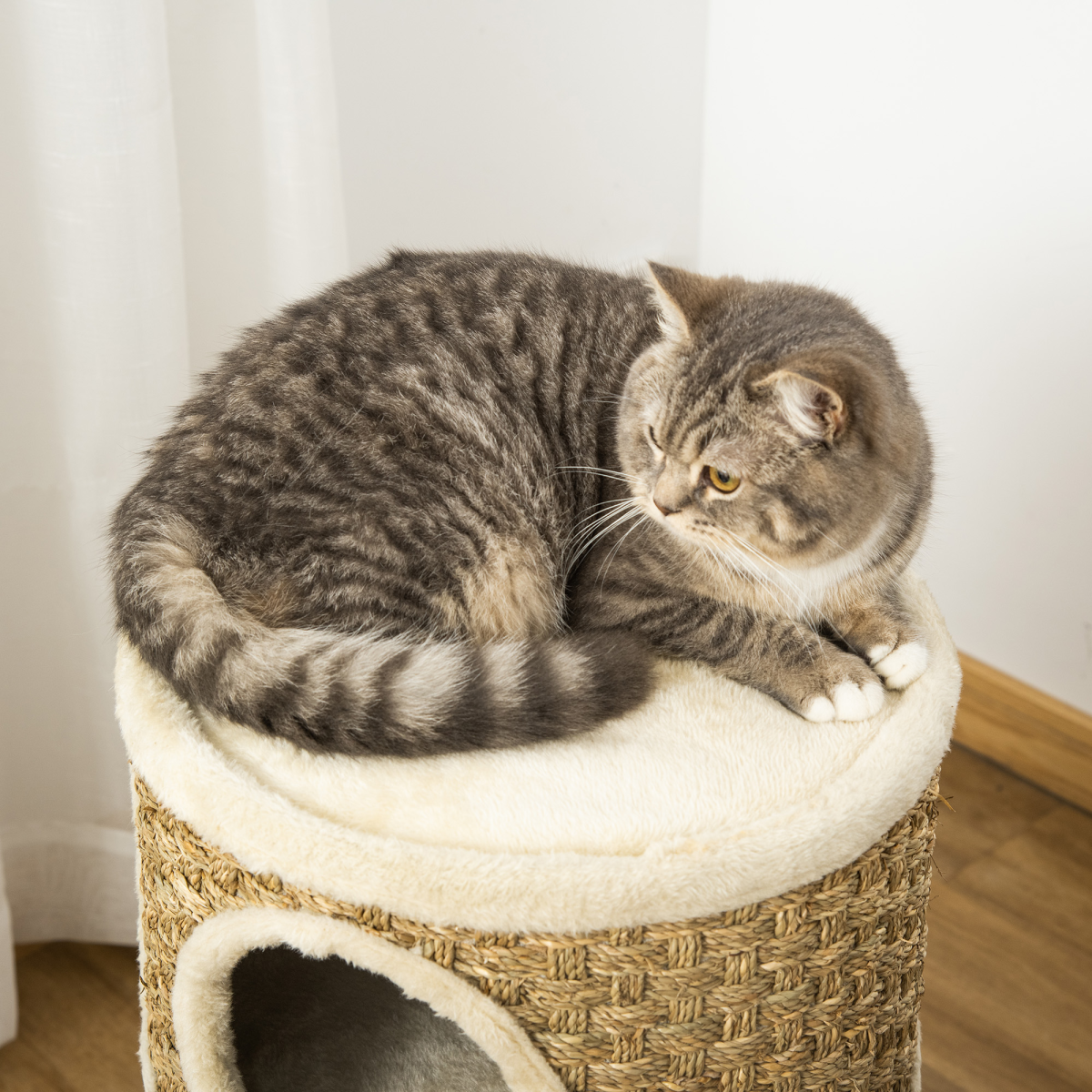 Cat Scratching Barrel Tree