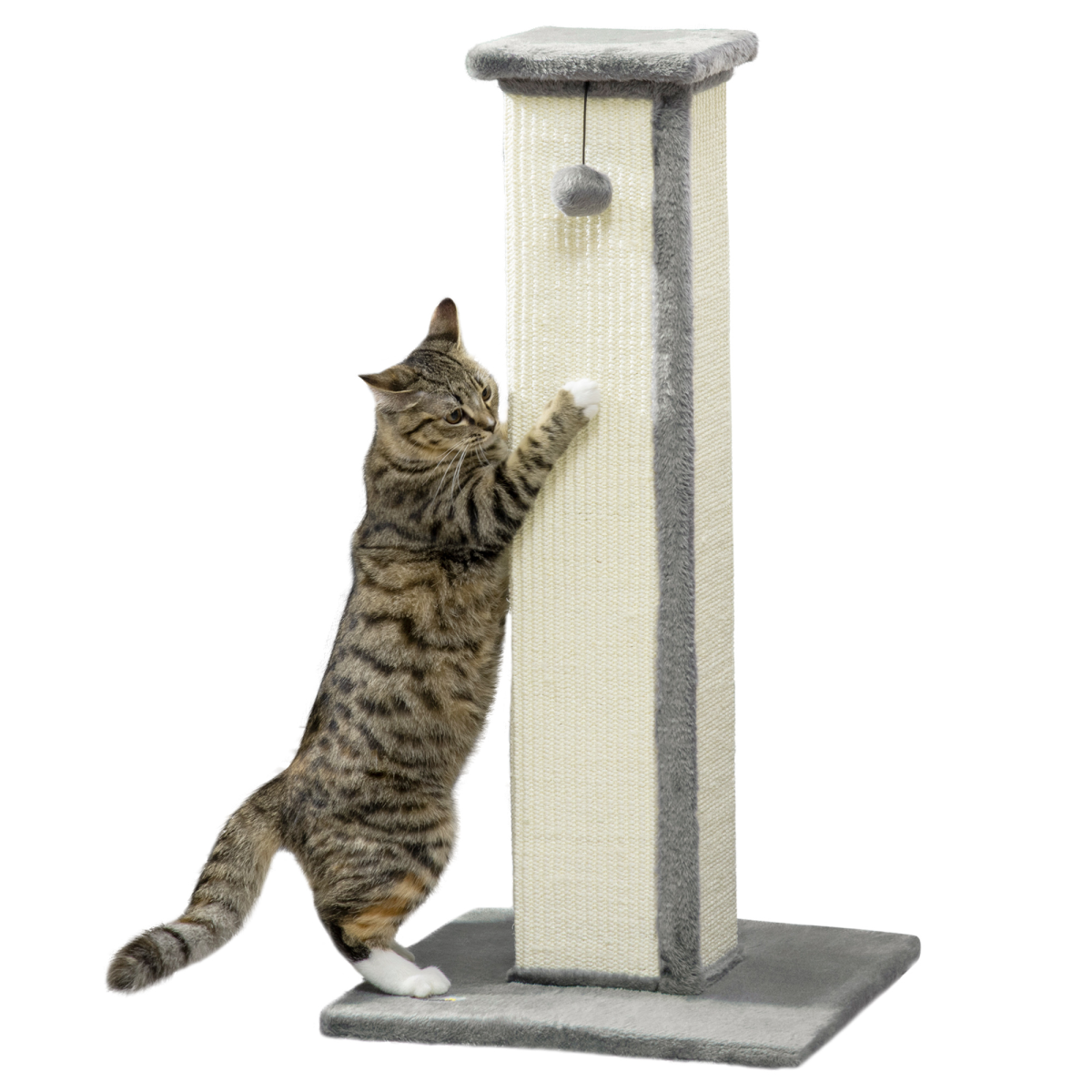 81cm Cat Scratching Post - Grey